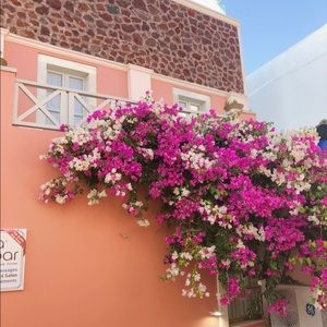 Meet your Posher, Gabby